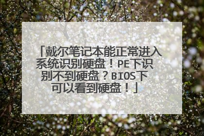 戴尔笔记本能正常进入系统识别硬盘!PE下识别不到硬盘?BIOS下可以看到硬盘!