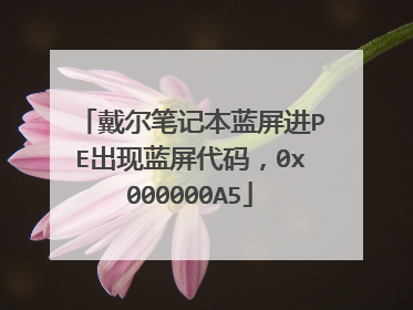 戴尔笔记本蓝屏进PE出现蓝屏代码，0x000000A5
