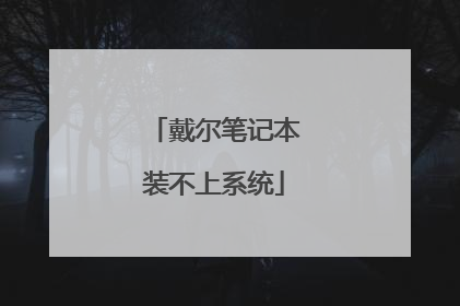 戴尔笔记本装不上系统