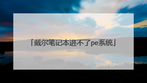 戴尔笔记本进不了pe系统