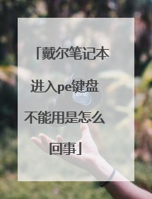 戴尔笔记本进入pe键盘不能用是怎么回事