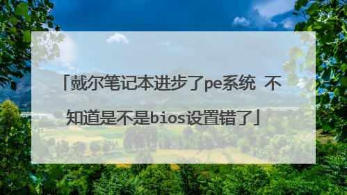 戴尔笔记本进步了pe系统 不知道是不是bios设置错了
