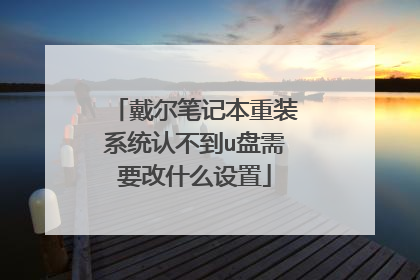 戴尔笔记本重装系统认不到u盘需要改什么设置