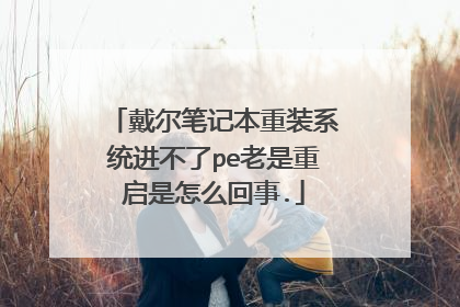 戴尔笔记本重装系统进不了pe老是重启是怎么回事.