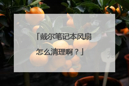 戴尔笔记本风扇怎么清理啊?