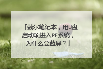 戴尔笔记本,用U盘启动项进入PE系统,为什么会蓝屏?