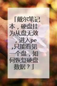 戴尔笔记本,硬盘挂为从盘无效,进入pe,只能看见一个盘,如何恢复硬盘数据?