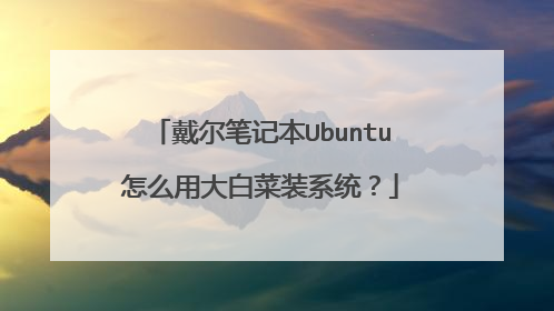 戴尔笔记本Ubuntu怎么用大白菜装系统?