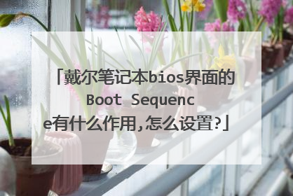 戴尔笔记本bios界面的 Boot Sequence有什么作用,怎么设置?