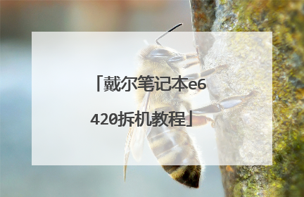 戴尔笔记本e6420拆机教程