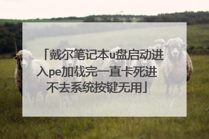 戴尔笔记本u盘启动进入pe加载完一直卡死进不去系统按键无用