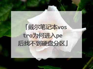 戴尔笔记本vostro为何进入pe后找不到硬盘分区