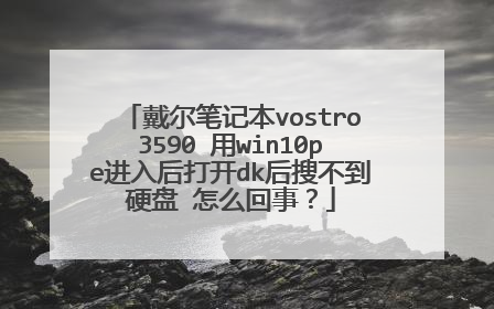 戴尔笔记本vostro3590 用win10pe进入后打开dk后搜不到硬盘 怎么回事?