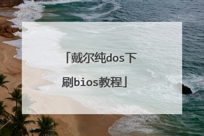 戴尔纯dos下刷bios教程