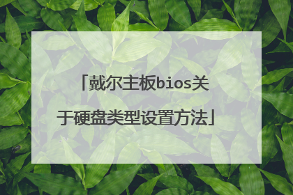 戴尔主板bios关于硬盘类型设置方法