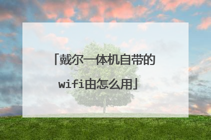 戴尔一体机自带的wifi由怎么用