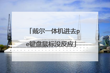 戴尔一体机进去pe键盘鼠标没反应
