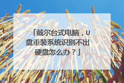 戴尔台式电脑,U盘重装系统识别不出硬盘怎么办?