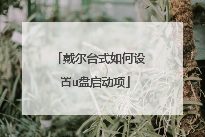 戴尔台式如何设置u盘启动项