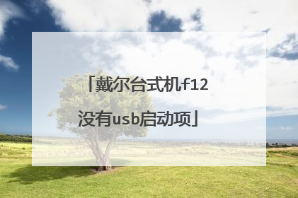戴尔台式机f12没有usb启动项
