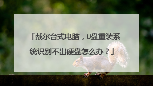 戴尔台式电脑,U盘重装系统识别不出硬盘怎么办?
