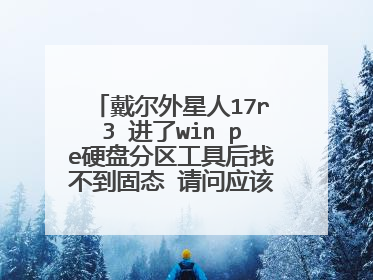 戴尔外星人17r3 进了win pe硬盘分区工具后找不到固态 请问应该怎么设置