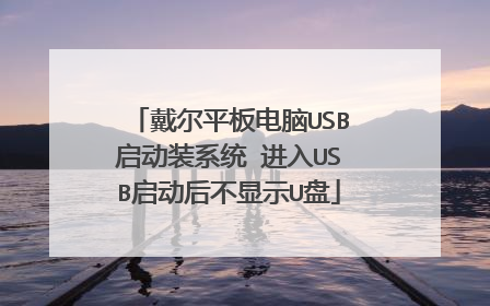 戴尔平板电脑USB启动装系统 进入USB启动后不显示U盘