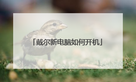 戴尔新电脑如何开机