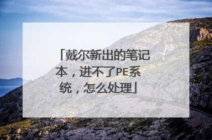 戴尔新出的笔记本,进不了PE系统,怎么处理