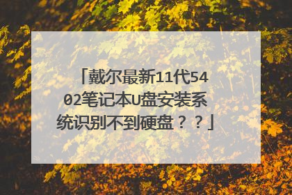 戴尔最新11代5402笔记本U盘安装系统识别不到硬盘??
