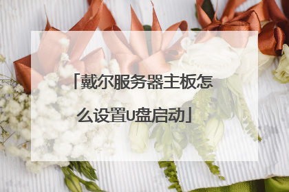 戴尔服务器主板怎么设置U盘启动