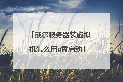 戴尔服务器装虚拟机怎么用u盘启动