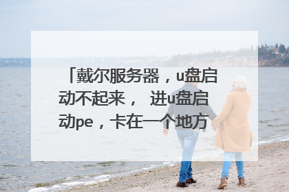 戴尔服务器,u盘启动不起来, 进u盘启动pe,卡在一个地方在线等,挺急的。