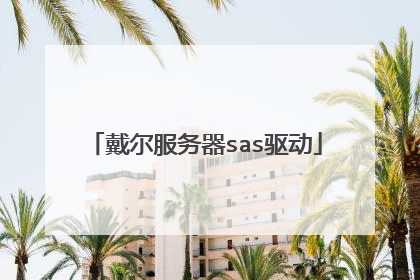 戴尔服务器sas驱动