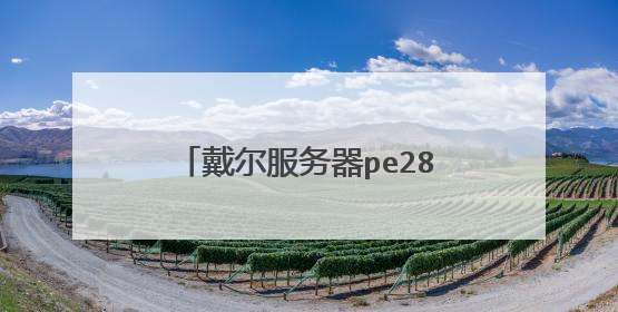 戴尔服务器pe2850 装什么系统