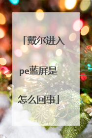 戴尔进入pe蓝屏是怎么回事