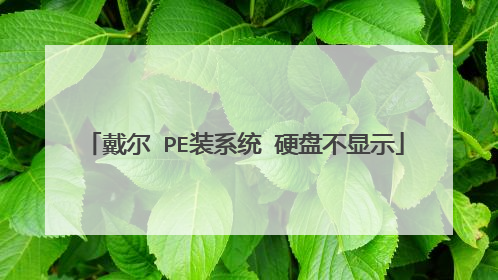 戴尔 PE装系统 硬盘不显示