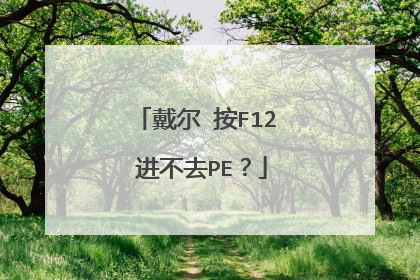戴尔 按F12 进不去PE？