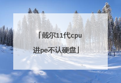 戴尔11代cpu进pe不认硬盘