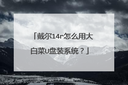 戴尔14r怎么用大白菜U盘装系统?