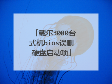 戴尔3080台式机bios误删硬盘启动项