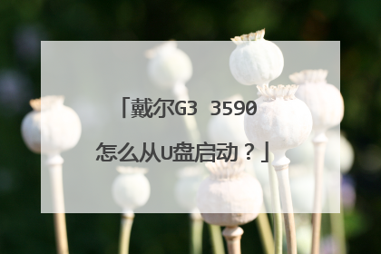 戴尔G3 3590 怎么从U盘启动？