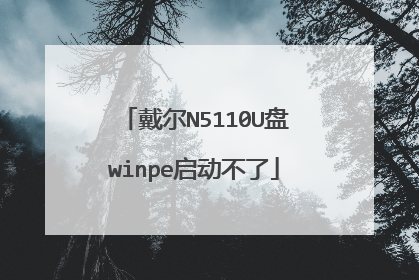 戴尔N5110U盘winpe启动不了