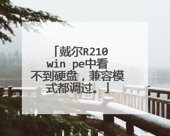 戴尔R210 win pe中看不到硬盘,兼容模式都调过。
