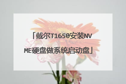 戴尔T1650安装NVME硬盘做系统启动盘