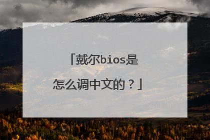 戴尔bios是怎么调中文的?