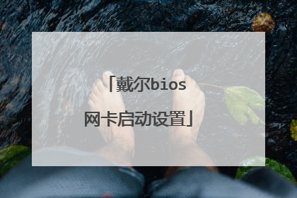 戴尔bios网卡启动设置