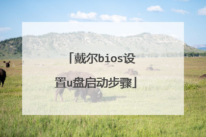 戴尔bios设置u盘启动步骤
