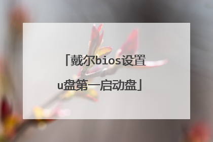 戴尔bios设置u盘第一启动盘