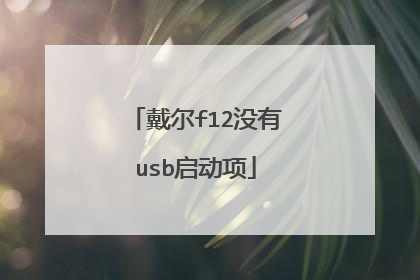 戴尔f12没有usb启动项